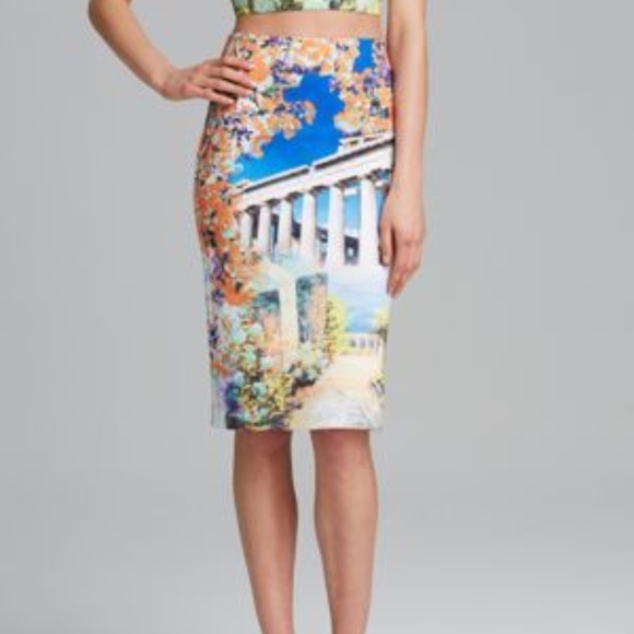 Clover Canyon 'Garden of Athena' Skirt (XS)